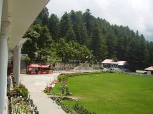 Why Nathia Gali Belongs at the Top of Your Travel Bucket List
